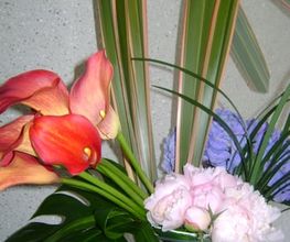 Atelier Cagna-Fleurs Bild 8