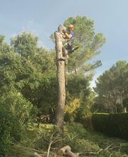 Vert D'oc image 10