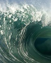 Die Physioinsel Bild 1