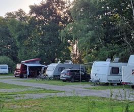 Camping & Ferienpark Waldfrieden Bild 19
