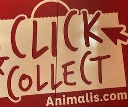 Animalis Bourges image 17