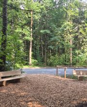 FriedWald Mainhardt Bild 6