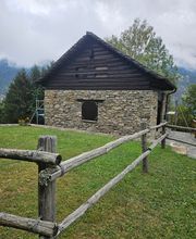 Solida Vincenzo pittura Bild 4