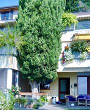 Gerim gérance immobilière SA Bild 1