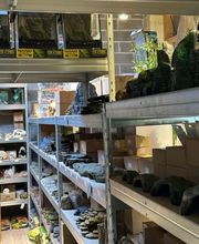 la ferme aux coleos image 1