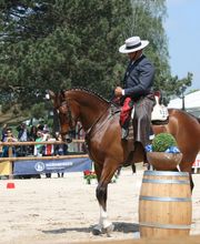 Working-Equitation-Equipment by Mammut Raufen Bild 9