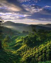 DALLMAYR Distribution Automatique image 2