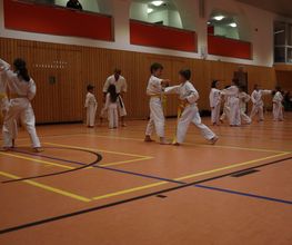 Karate-Kids