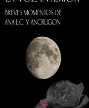 El volumen de una sombra imagen 2