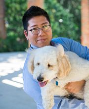 Westerville Dental Associates image 5