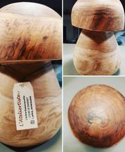 L'Arbre Remarquable image 1