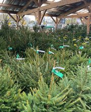 Bricomarché La Loupe image 10