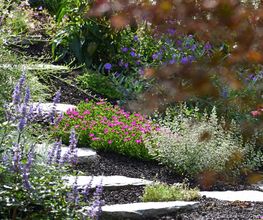 Garten + Rasen Jost AG Bild 8