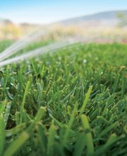 Atmosphère Jardin Sàrl Bild 7