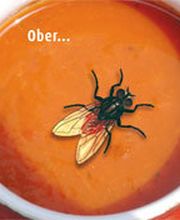 AHO Ongediertebestrijding afbeelding 1
