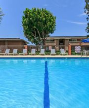 Briarwood Apartments image 14