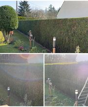 Chassagrande Elagage Fils image 2