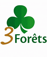 3 Forêts Ecouen image 9