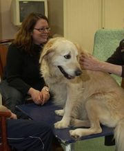 Maison de Retraite de Malnoue image 2