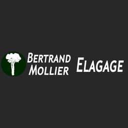 Mollier Bertrand
