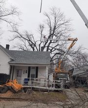 Whitledge Tree Service LLC image 5