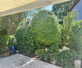 Gartenservice Mark Miess Bild 7