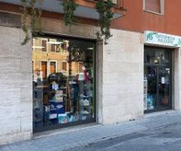 Sanitaria Ortopedia Falcone immagine 2