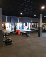 Basic-Fit Haarlem Bernadottelaan - free weight zone