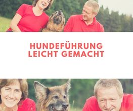 MenschUndHundZentrum Bild 35