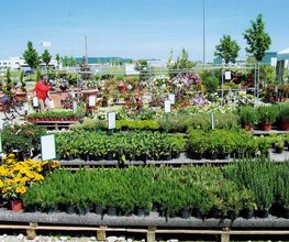 Andrea Wölfle Garten- und Landschaftsbau