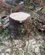 Esprit Jardin 86 image 20