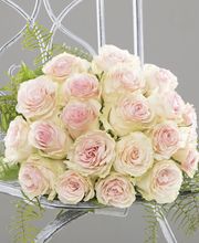 Blumen Fleischli Bild 7