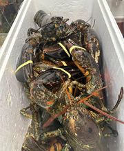 Park Hill Supermarket image 8