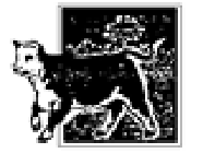 Aoutin Jérôme Sarl