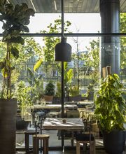 Honest Greens San Sebastián de los Reyes