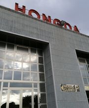 Gallery Cliente