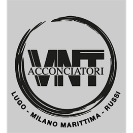 VNT- Acconciatori Russi logo