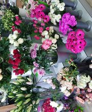 Gartencenter A-Z Velbert GmbH Bild 30