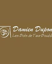 Damien Dupont image 12