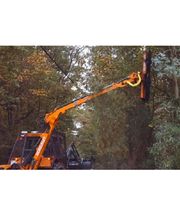 Delamare Environnement image 1