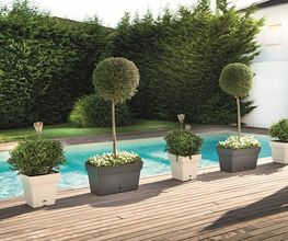 fansa-piscina.jpg