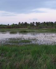 Rivière Environnement image 5