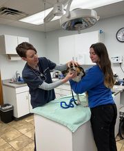 The Village Veterinarian image 3