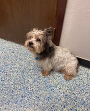 Animal Hospital of Nebraska City image 8