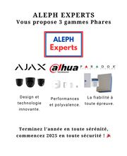 Aleph Experts Concept Sécurité image 7