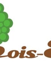 Trans Bois Energy 39 SARL image 2