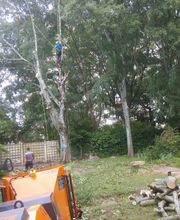 A Fleur d'Ecorce EURL image 7