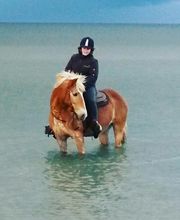 Hof Belvedere Bild 4