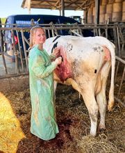 ClinicVet Vétérinaire Foucarmont image 5