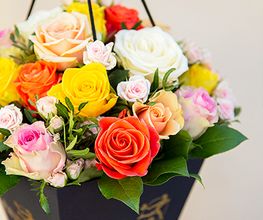 Manfred Kaufmehl Blumen Bild 4